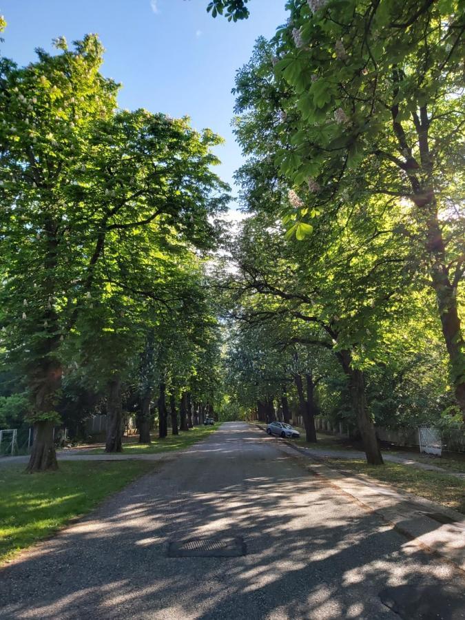 Balatonszemesi Nyaralohaz Villa Eksteriør billede